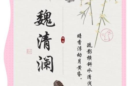 汲姓女孩名字大全-汲姓女孩起名字大全-汲姓名字大全姓名