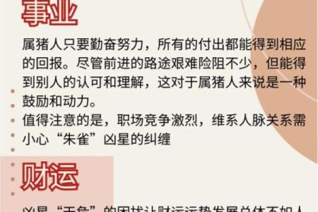 2月份出生的属猪男孩起什么名字好姓名