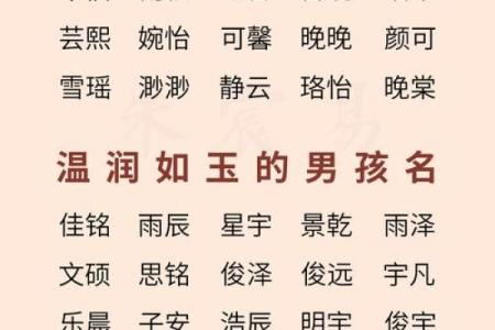 2019年3月26号子时出生的男孩要怎么起名字姓名