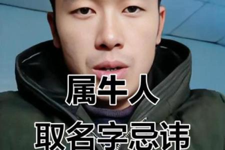 属牛辛时出生的男孩起名推荐姓名