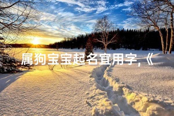 半夜出生的属狗男孩怎么取名,宜用什么字姓名 半夜出生的属狗男孩怎么取名,宜用什么字姓名