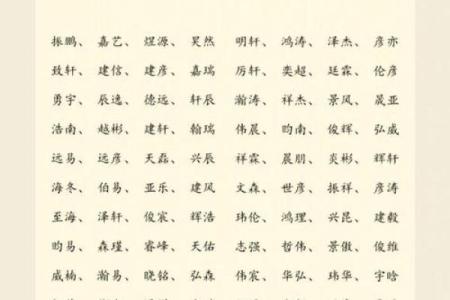 半夜出生的属狗男孩怎么取名,宜用什么字姓名