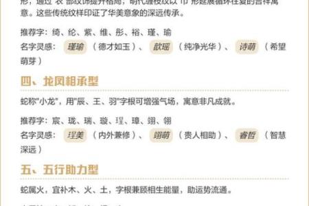 中午12点出生的属蛇男孩如何取名,宜用什么字姓名