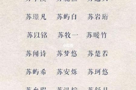 舒姓女孩名字大全-舒姓女孩起名字大全-舒姓名字大全姓名