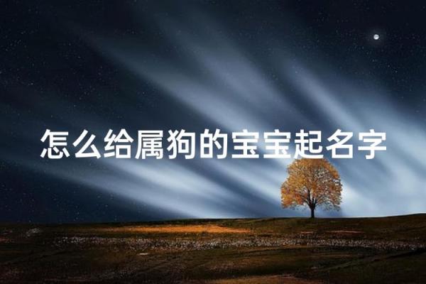 上午10点出生的属狗男孩如何取名,宜用什么字姓名 上午10点出生的属狗男孩如何取名,宜用什么字姓名