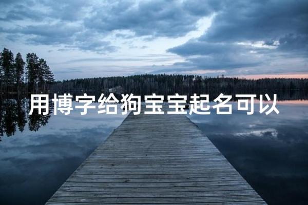 上午10点出生的属狗男孩如何取名,宜用什么字姓名 上午10点出生的属狗男孩如何取名,宜用什么字姓名