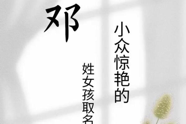 邓姓男孩名字大全-邓姓男孩起名字大全-邓姓名字大全姓名 邓姓男孩名字大全-邓姓男孩起名字大全-邓姓名字大全姓名