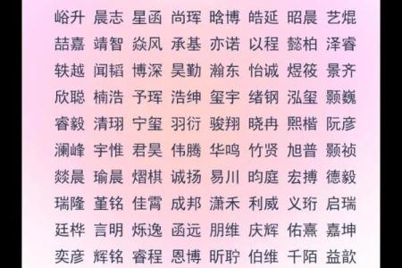 2019年5月28号子时出生的男孩起名时要注意什么姓名
