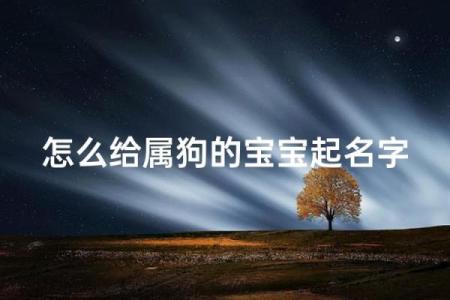 上午10点出生的属狗男孩如何取名,宜用什么字姓名