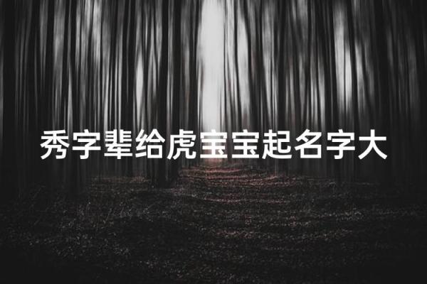 下午2点出生的属虎男孩起什么名，宜用什么字姓名
