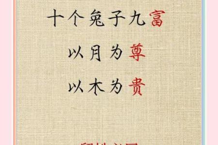 怎么给属兔丑时出生的男孩取名好姓名