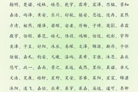 2019年5月30号卯时出生的男孩如何起名姓名