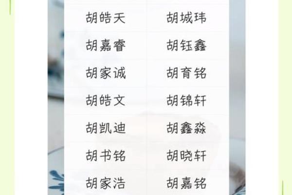 嵇姓男孩名字大全-嵇姓男孩起名字大全-嵇姓名字大全姓名 嵇姓男孩名字大全-嵇姓男孩起名字大全-嵇姓名字大全姓名