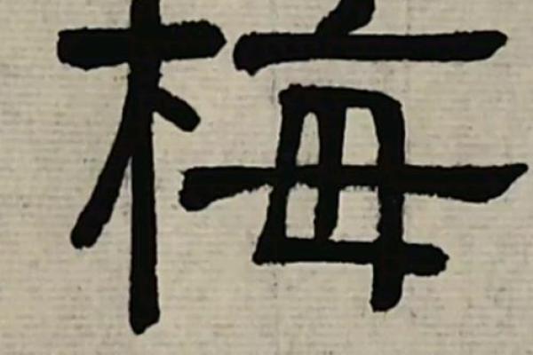 梅姓女孩名字大全-梅姓女孩起名字大全-梅姓名字大全姓名 梅姓女孩名字大全-梅姓女孩起名字大全-梅姓名字大全姓名