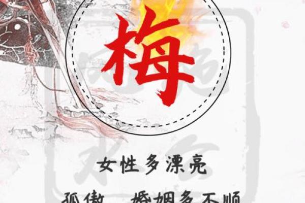 梅姓女孩名字大全-梅姓女孩起名字大全-梅姓名字大全姓名 梅姓女孩名字大全-梅姓女孩起名字大全-梅姓名字大全姓名