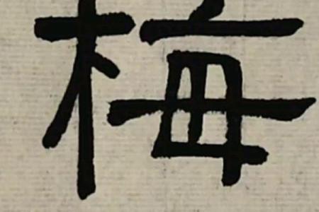 梅姓女孩名字大全-梅姓女孩起名字大全-梅姓名字大全姓名