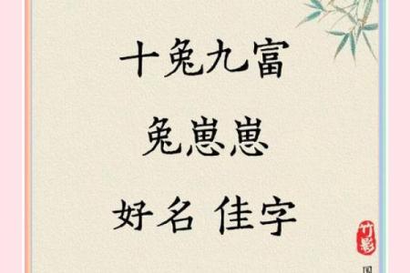7月份出生的属兔男孩应该如何取名字姓名