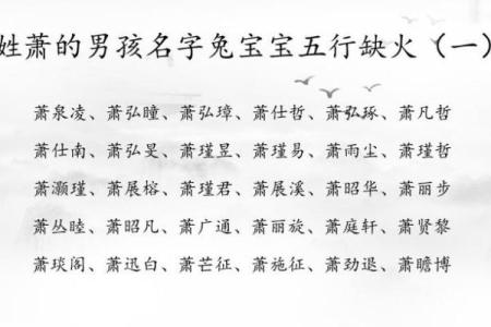 2019年6月25号子时出生的男孩起名方法姓名