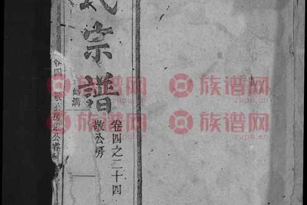 储姓女孩名字大全-储姓女孩起名字大全-储姓名字大全姓名