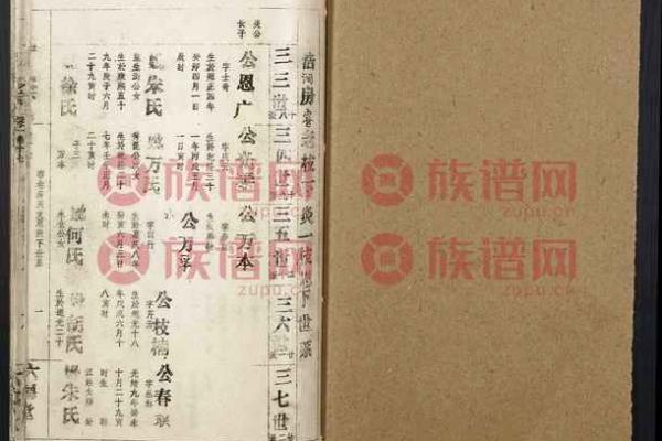 储姓女孩名字大全-储姓女孩起名字大全-储姓名字大全姓名