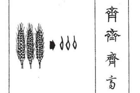 齐姓男孩名字大全-齐姓男孩起名字大全-齐姓名字大全姓名