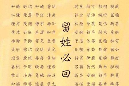 项姓男孩名字大全-项姓男孩起名字大全-项姓名字大全姓名