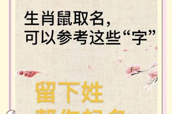 晚上9点出生的属鼠男孩好名推荐姓名