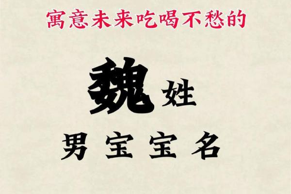 魏姓男孩名字大全-魏姓男孩起名字大全-魏姓名字大全姓名 魏姓男孩名字大全-魏姓男孩起名字大全-魏姓名字大全姓名