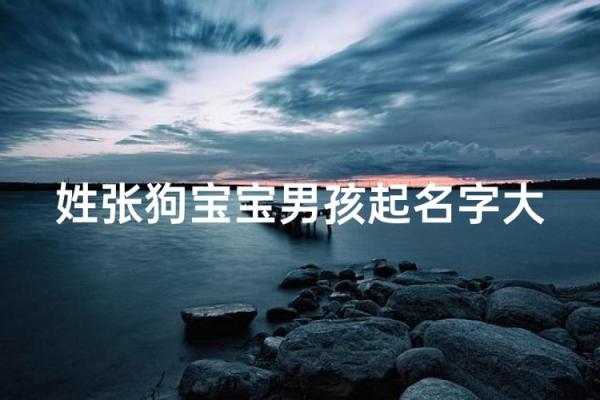 上午11点出生的属狗男孩怎么取名,用什么字好姓名 上午11点出生的属狗男孩怎么取名,用什么字好姓名