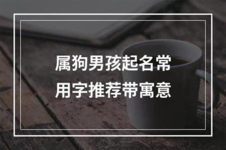 上午11点出生的属狗男孩怎么取名，用什么字好姓名
