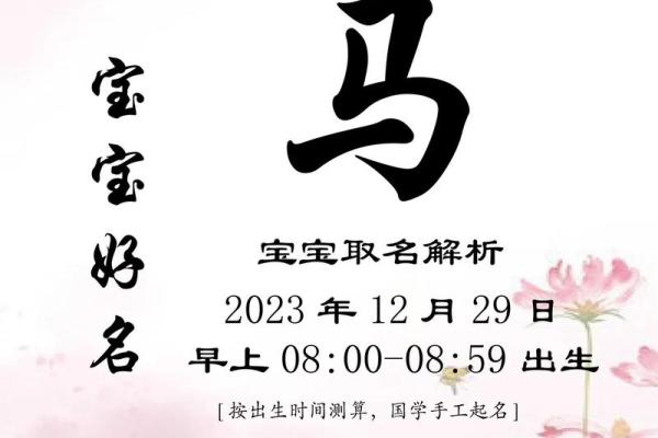 怎样给一月份出生属马的男孩取名字姓名 怎样给一月份出生属马的男孩取名字姓名