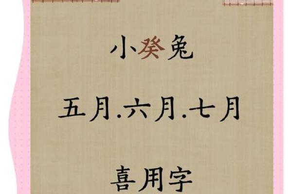 给属兔巳时出生的男孩起名宜用什么字姓名