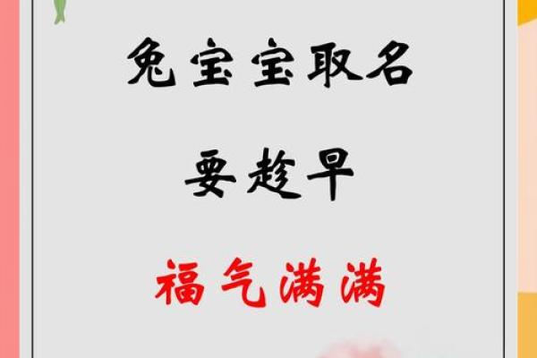 给属兔巳时出生的男孩起名宜用什么字姓名