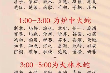 2019年3月25号丑时出生的男孩如何起名姓名