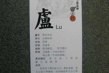 卢姓男孩名字大全-卢姓男孩起名字大全-卢姓名字大全姓名