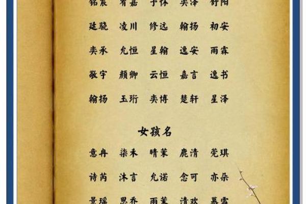2月份出生的属兔男孩该怎么取名字姓名 2月份出生的属兔男孩该怎么取名字姓名