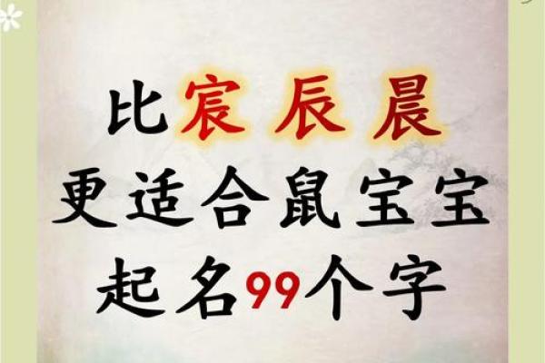 给晚上出生的属鼠男孩起名宜用什么字姓名 给晚上出生的属鼠男孩起名宜用什么字姓名