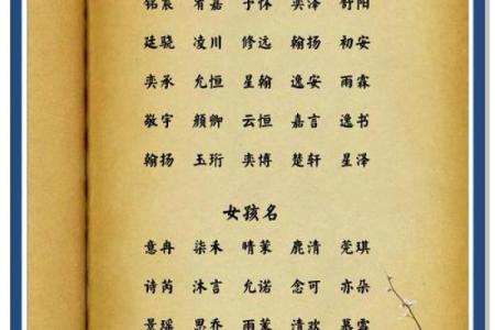 2月份出生的属兔男孩该怎么取名字姓名