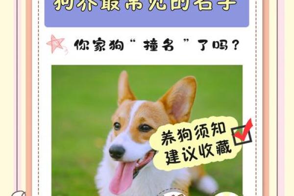 早上八点出生的属狗男孩怎么取名，用什么字好姓名