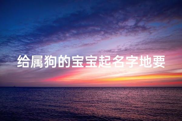 五月份出生的属狗男孩应该如何取名字姓名