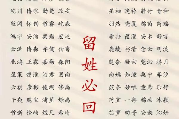 2019年3月31号亥时出生的男孩要怎么起名字姓名