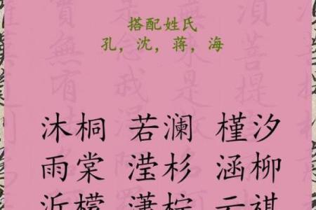 水姓男孩名字大全-水姓男孩起名字大全-水姓名字大全姓名