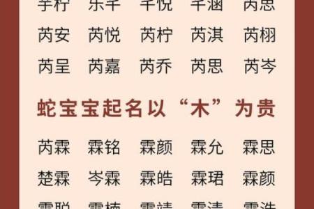 属蛇丑时出生的男孩怎么取名字，宜用什么字姓名