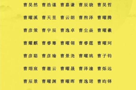 酆姓男孩名字大全-酆姓男孩起名字大全-酆姓名字大全姓名